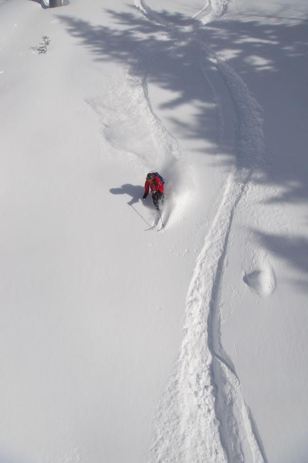 Ski Breezy Chalet Chamonix Mont Blanc Exterior foto